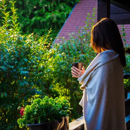 Hotel Petnehazy Budapesta