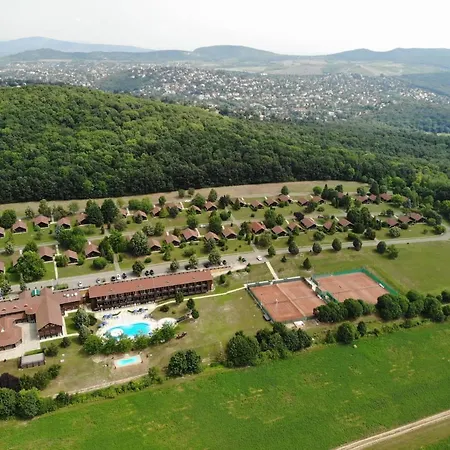 Petneházy